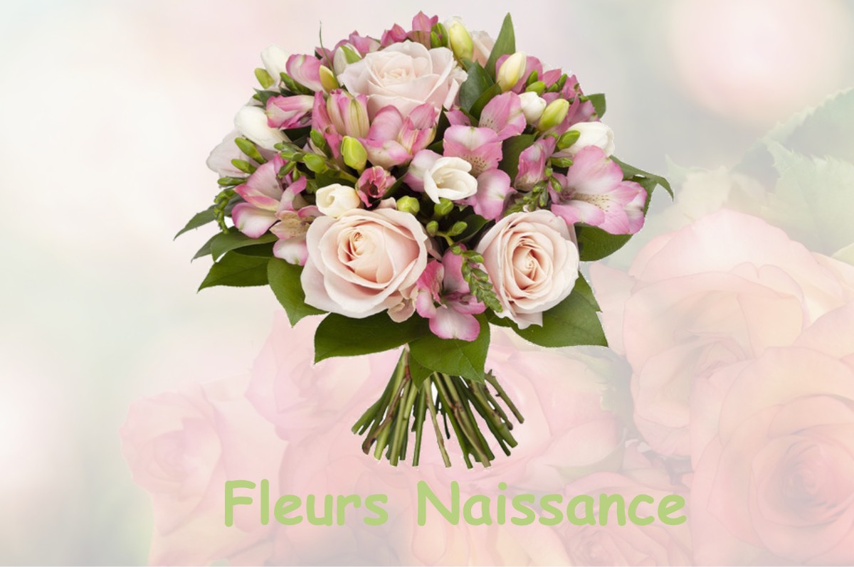 fleurs naissance SAINT-JEAN