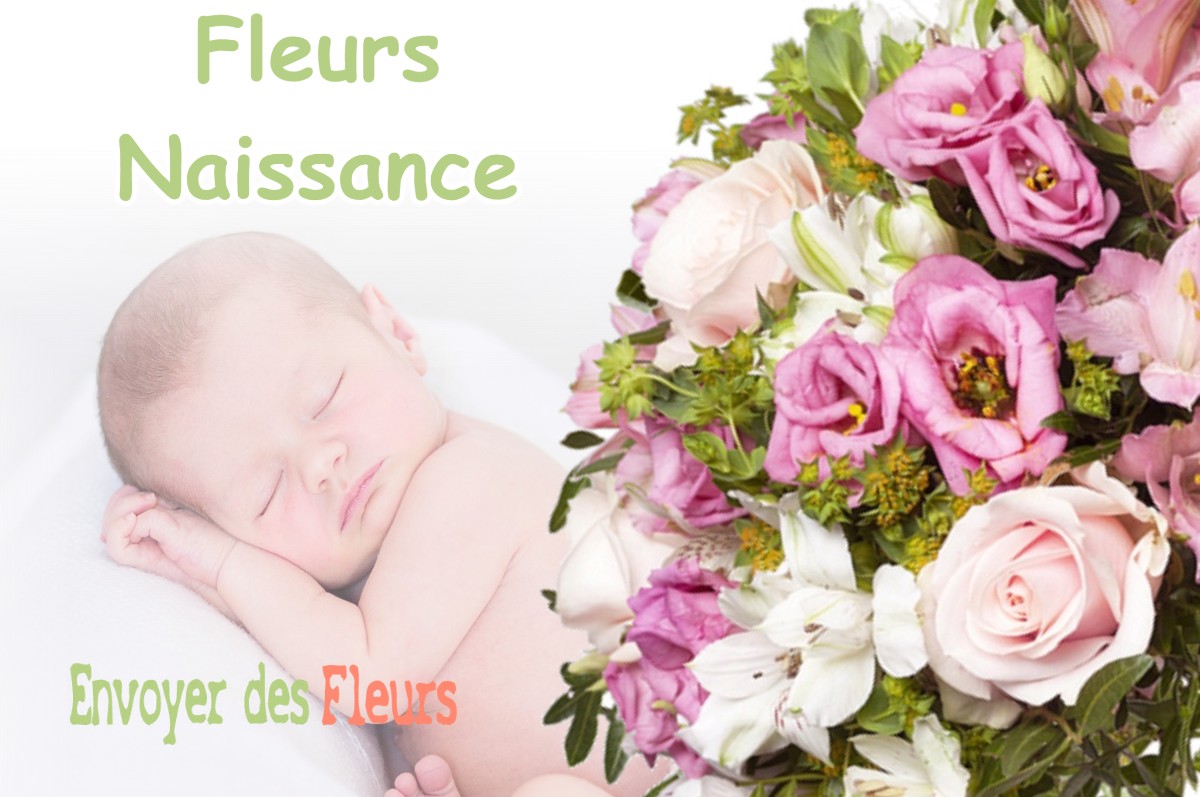 lIVRAISON FLEURS NAISSANCE à SAINT-JEAN